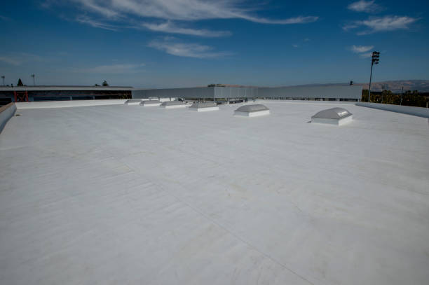Best Chimney Flashing Repair  in Lakemoor, IL